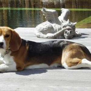 b4cbe55a46c68972927f1cef8850a9ae.jpg
35779
jpg