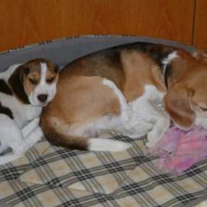 ca5d0bda7aea8a22b31dc388e53f7f4b.jpg
247016
jpg