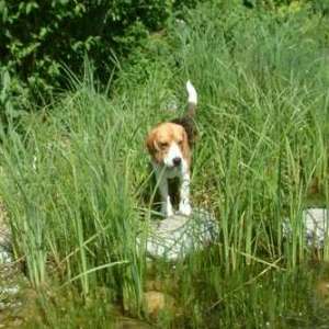 ee2bd86c2afc8231db22fce2b342f72f.jpg
48185
jpg