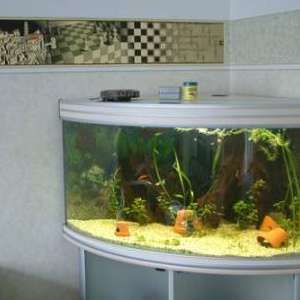 4bcfbe79fb77b306b26d0fd77fff577a.jpg
24946
jpg