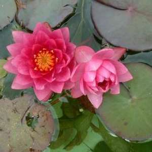 6149515ddf8e7a909b1ed008bcd4f0c0.jpg
27736
jpg